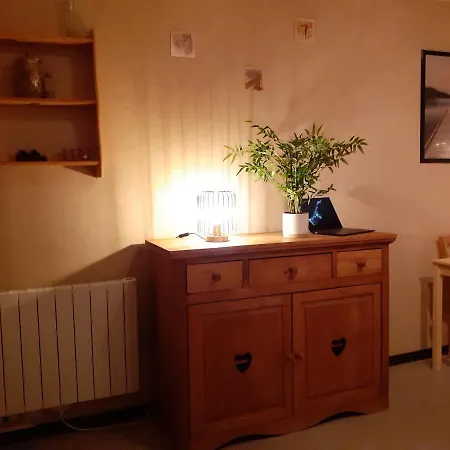 Front De Neige Wifi Résidence Le Tyrol 4 Personnes Appartement Les Deux Alpes